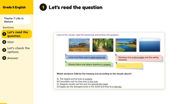 Beyond English 5 Test Book Test 1269180 Soru 7