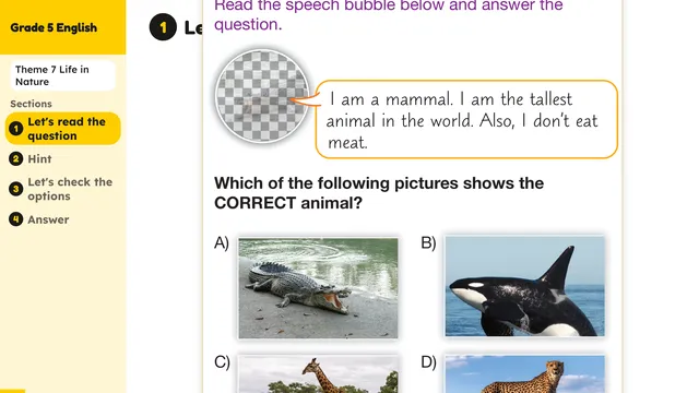 Beyond English 5 Test Book Test 1269181 Soru 1